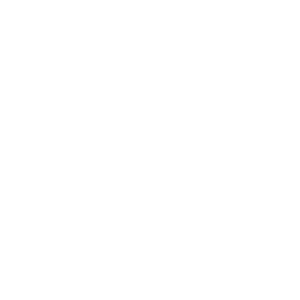 Woolworths_logo_white-2