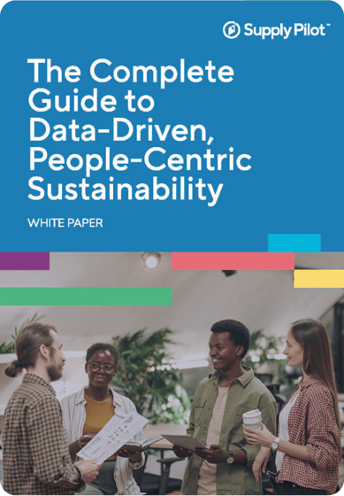 The complete guide to data-drive people-centric sustainability thumbnail